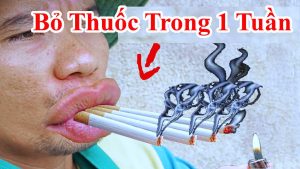 Cách cai thuốc lá hiệu quả trong 1 tuần dành cho những ai cần - Bài thuốc mẹo cai thuốc lá , bỏ thuốc lá luôn