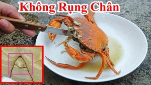 Cách Luộc Cua Biển Không Bị Rụng Chân Càng - Mẹo Luộc Ghẹ Cua Biển Cà Mau Chân Càng Không Bị Rụng