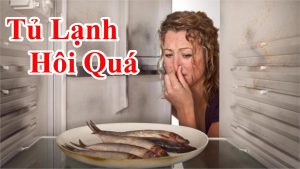 Cách khử mùi hôi tủ lạnh hiệu quả bạn nên áp dụng - Tủ lạnh nhà có mùi hôi phải làm sao để khử sạch mùi ?