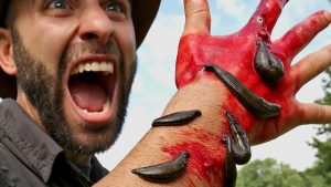 Cách gỡ con đỉa đang hút máu ra đơn giản - con đỉa sợ gì nhất , cách diệt con đỉa trâu hút máu