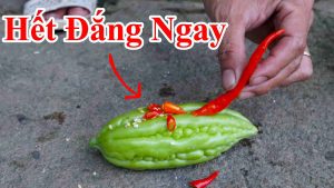 Mẹo làm khổ hoa hết đắng cực hay - Cách làm trái mướp đắng ( khổ hoa ) không đắng khi nấu canh , bạn nên biết