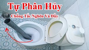 Cách sử dụng hầm cầu , bể phốt không bao giờ phải hút , không sợ tắc nghẽn - cách làm hầm cầu , bể phốt tự tiêu hủy