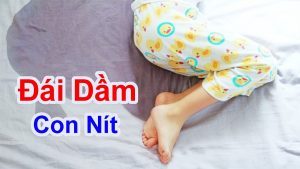 Cách điều trị đái dầm hiệu quả dành cho trẻ nhỏ và người lớn - Bài thuốc trị đái dầm không kiểm soát được