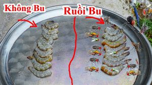 Cách phơi khô Thịt , Cá , Tôm , Mực không bao giờ có ruồi bu - Mẹo phơi cá khô không có ruồi bu vào