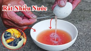 Bí quyết luộc trứng vịt lột rất ngon , buôn bán rất đắt khách - cách luộc trứng vịt lộn ngọt nước , trứng nhiều nước , thơm