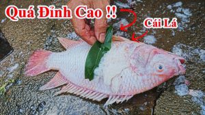 Cách đánh vảy cá nhẹ nhàng tự rớt ra luôn bằng nước cực hay - Mẹo đánh vẩy cá dễ , khử nhớt cá sạch bạn nên biết