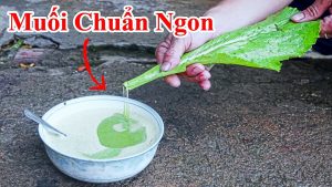 Bí quyết làm muối ớt xanh chấm hải sản , chấm đồ nướng đúng chuẩn khẩu vị luôn - Cách làm muối ớt xanh buôn bán