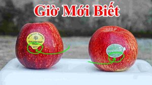 Bí mật về 4 chữ số được dán vào trái cây được bán trong siêu thị , Không ai biết đến - Ý nghĩa các số được dán trong tem trái cây