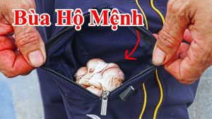 Nếu đi đâu xa nhà ! hay mang theo thứ này bên người , Nó như bùa hộ mệnh bảo vệ cho bạn tai qua nạn khỏi