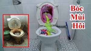 Cách làm cho nhà vệ sinh luôn luôn thơm - mẹo giúp cho toilet không còn mùi hôi khai bốc lên nữa