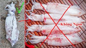 Cách phân biệt mực tươi ngon và phân biệt mực tẩm hoá chất mẹo nhận biết mực ngon