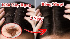 Mẹo chăm sóc tóc bị khô bị gãy bị chẻ ngọn cực kỳ đơn giản giúp tóc phục hồi giảm hư tổn mẹo hay