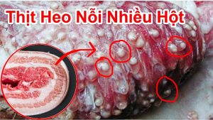 Nguy hiểm mọi người nên nhìn kỹ khi đi mua thịt heo nếu không sẽ mua những thịt heo bị dịch bệnh mẹo khi đi mua heo