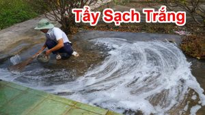Mẹo hay chà rong rêu bám bẩn trên xi măng gạch men ở ngoài sân sáng tinh như mới