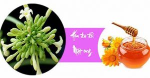 Cách trị ho bằng bông đu đủ đực và mật ong hay đường phèn về công dụng trị ho viêm họng và đường hô hấp cực hay