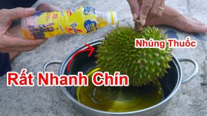 Mẹo hay cách làm trái cây chín nhanh mà không cần mang đi dú trái cây chín rất nhanh và lại ngon và thơm