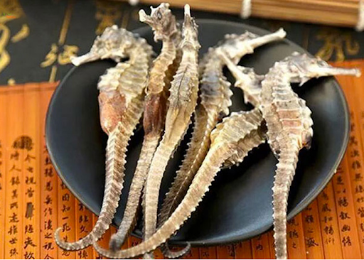 Công Dụng Của Cá Ngựa Là Gì ? Tác Dụng Khi Uống Rượu Cá ngựa: Vị thuốc bổ thận, cường dương đến từ biển cả